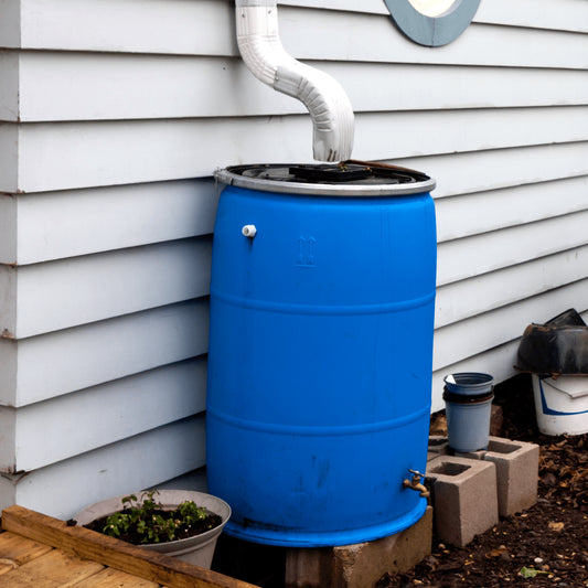 Maximizing Rainwater Conservation: Rain Barrel Rebate Programs in San Diego